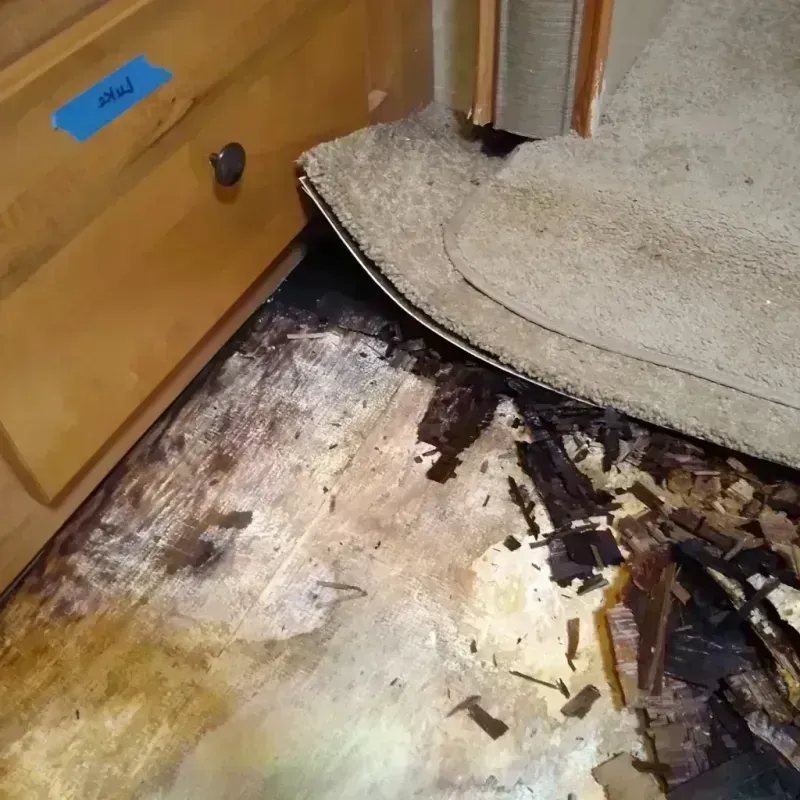 Wood Floor Water Damage in Bellevue, MI